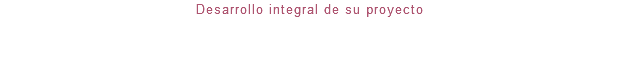 Desarrollo integral de su proyecto